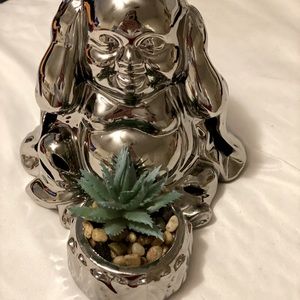 Happy Buddha succulent